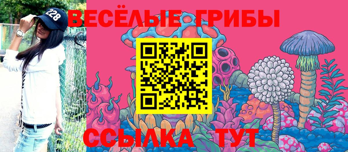 как найти закладки  Галлюциногенные грибы Psilocybine cubensis  Вход с VPN  Галлюциногенные грибы Psilocybe  Новотроицк 